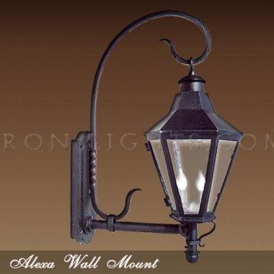 Alexa wall mount light