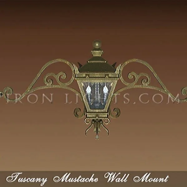 Wall mount light fixtures