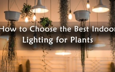 How to Choose the Best Indoor Lighting for Plants